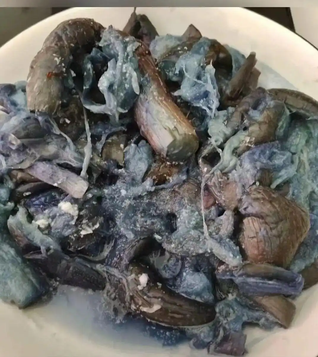 明星黑暗料理图片大全高清,_黑暗料理大赏_妈妈做的黑暗料理