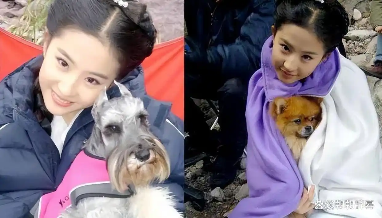 旺夫面相的女明星_景甜郭晶晶刘亦菲朱珠许晴陈红_天生富贵相女星